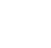 Microsoft Certified Technology Specialist - NET Framework 4 - Data Access logo